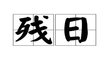 全国助残日活动方案推荐5篇