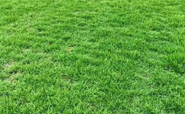 草船借箭的读后读后感5篇