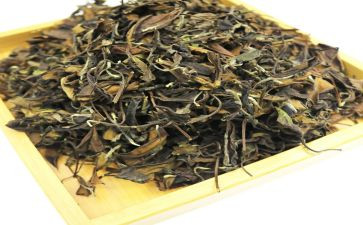 茶经心得体会300字最新8篇