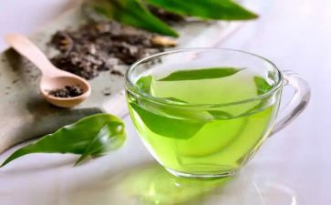 茶心得体会500字优秀6篇