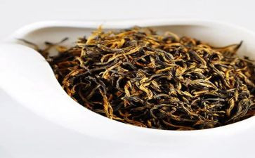 茶经心得体会300字5篇