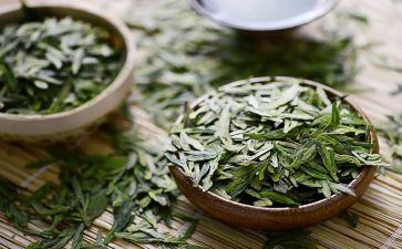 茶经大学讲座心得体会5篇