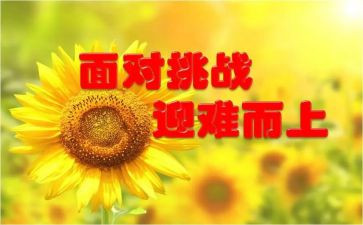 那一次成功的尝试作文推荐7篇