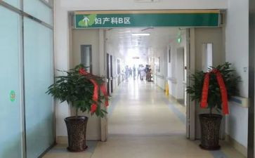 产科总结报告8篇
