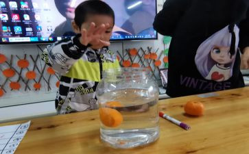 水果的沉浮教案7篇