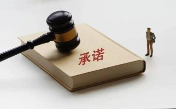 合同承诺书精选6篇