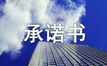 合同承诺书优质7篇