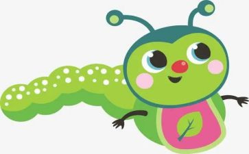 昆虫作文500字8篇