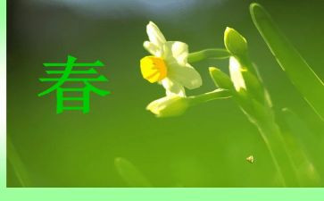 我的青春里有演讲稿7篇