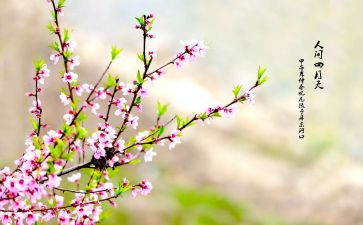 春节作文500字优质5篇