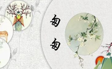 《匆匆》心得精选5篇