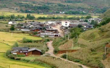 农村小学教研处工作计划5篇