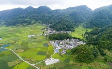 村卫生室年初工作计划6篇