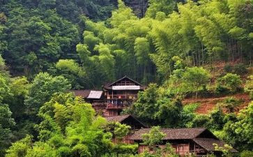 村干2024年述职报告通用5篇