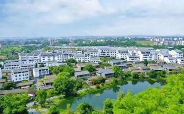 村官到村工作述职报告模板7篇