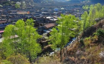 村党支部年度工作计划精选7篇