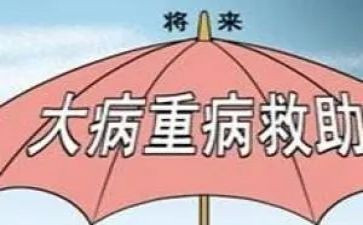 大病低保申请书范文7篇