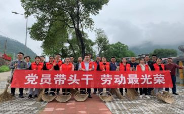 有带头心得体会7篇