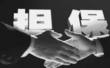 担保借款合同模板6篇