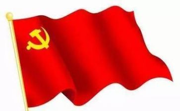 党支个人总结优秀8篇