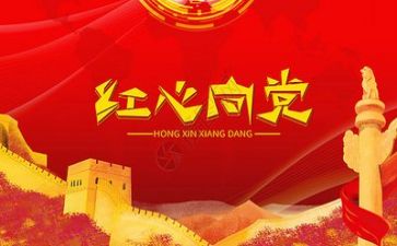 党个人年度总结最新6篇