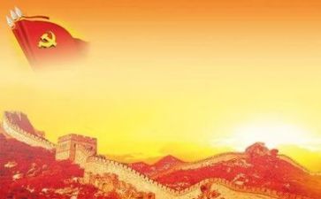 党支半年总结精选7篇