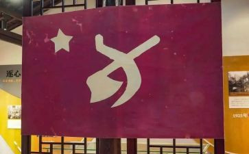 学生党员优秀党员事迹材料优秀6篇