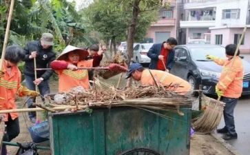 大清扫活动总结7篇