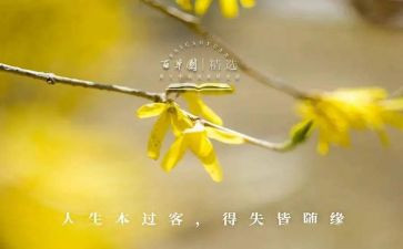 关于得与失工作计划推荐7篇