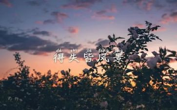 爱情的得与失作文优质8篇