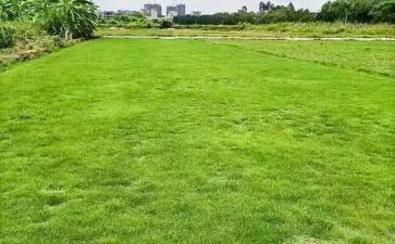 租赁土地合同参考5篇
