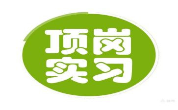 幼师顶岗工作总结6篇