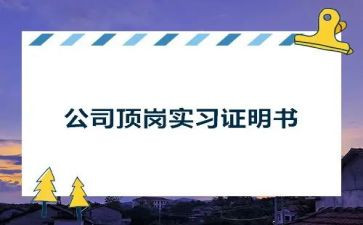 学生顶岗总结报告6篇