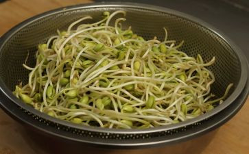 炒豆芽心得7篇