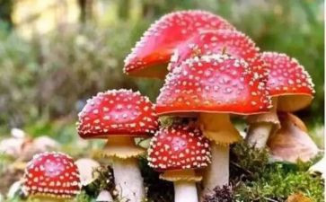 禁毒宣传主题活动总结5篇