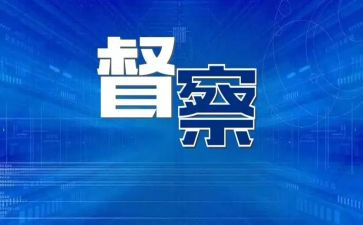 疫情督查工作总结8篇