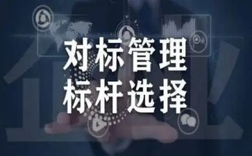 2024年对标工作总结报告5篇