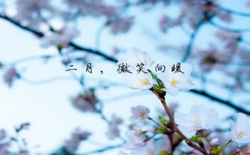 十二月份幼儿园工作计划5篇