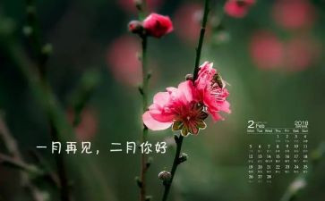 学生会十二月计划8篇