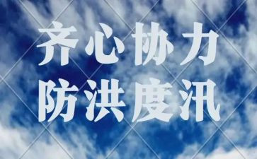 2024年防洪防汛工作总结模板7篇