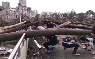防汛防台的工作总结5篇