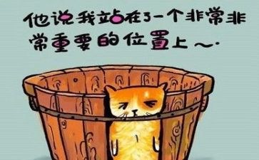月工作总结和反思最新5篇
