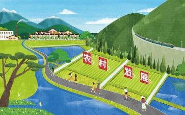教师发展中心的工作计划5篇