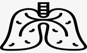 我们的肺教案8篇