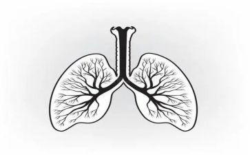 我们的肺教案推荐5篇