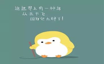 减肥餐调查报告8篇