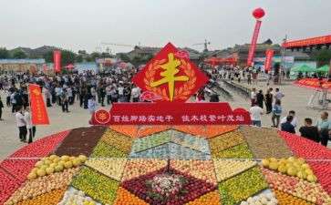 中国农民丰收节活动总结7篇