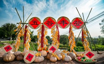 2024年丰收节工作总结5篇