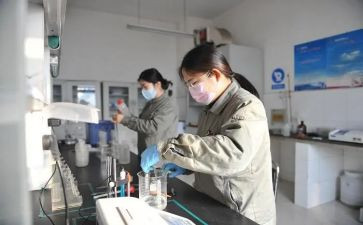 分析工作总结推荐5篇