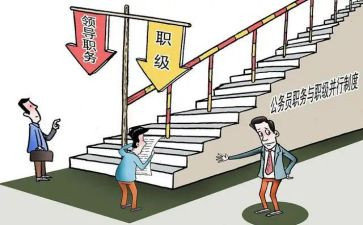 部室副职职述职报告8篇